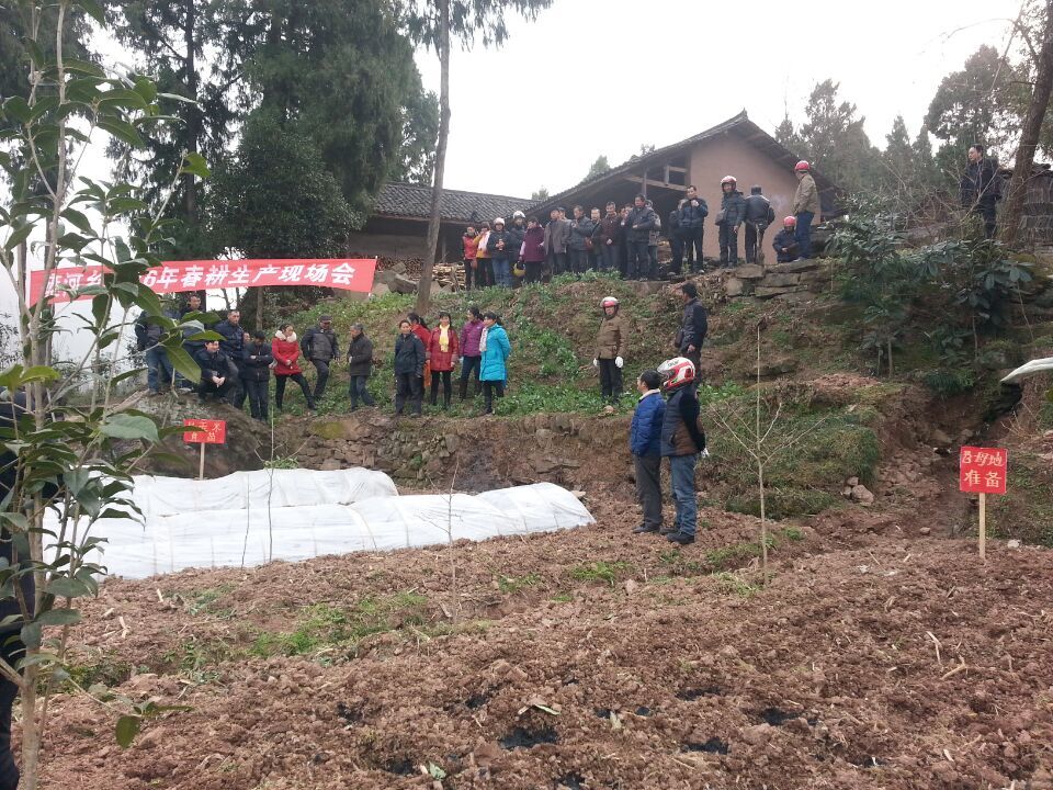 苍溪雍河人口_四川苍溪河地乡车祸(2)