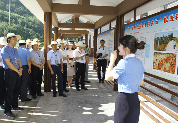 四川省苍溪县人口_四川苍溪特大旱灾 12万人饮水 告急