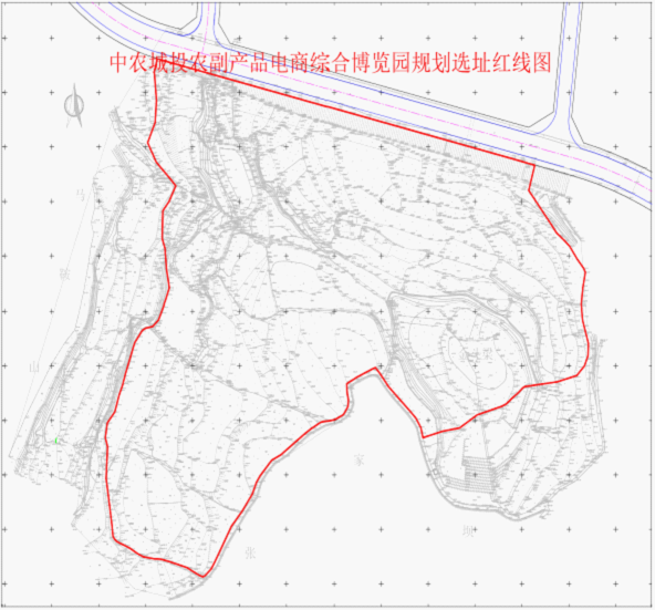 苍溪县人民政府征收集体土地公告（苍府<font color='red'>公</font>字〔2020〕20号）