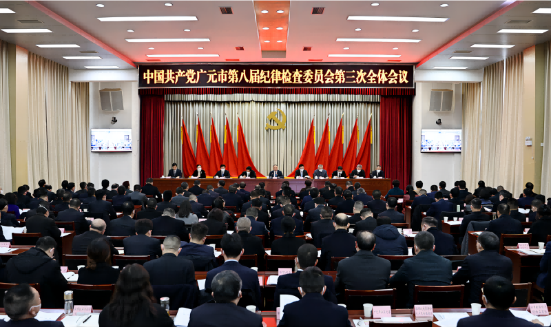 何树<font color='red'>平</font>：以优良纪律作风护航广元现代化建设 为加快建设川陕甘结合部现代化中心城市提供坚强保障