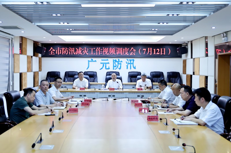 何树<font color='red'>平</font>主持召开全市防汛减灾工作视频调度会
