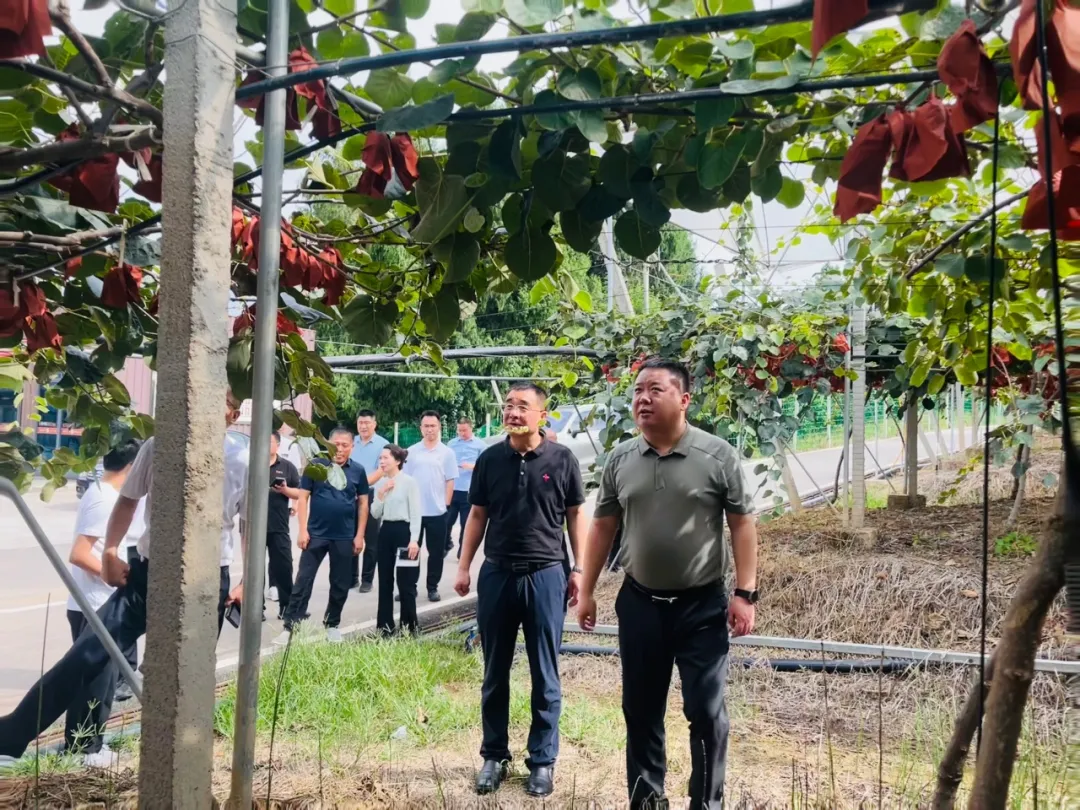 任云督导调研乡村振兴、现代农业园区建设、防汛减灾等...