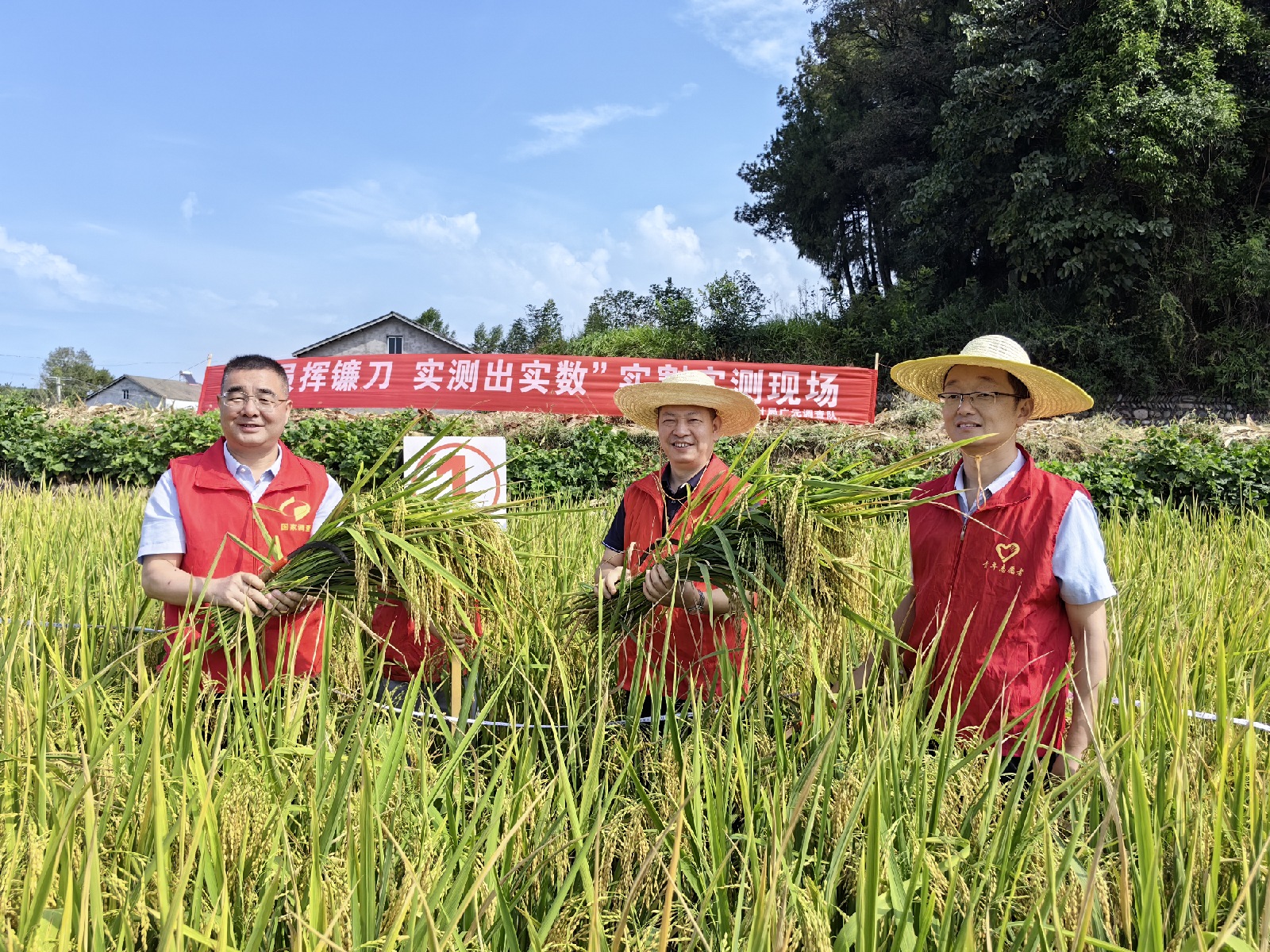 国家统计局广元调查队来苍溪县开展“党员挥镰刀 实测...