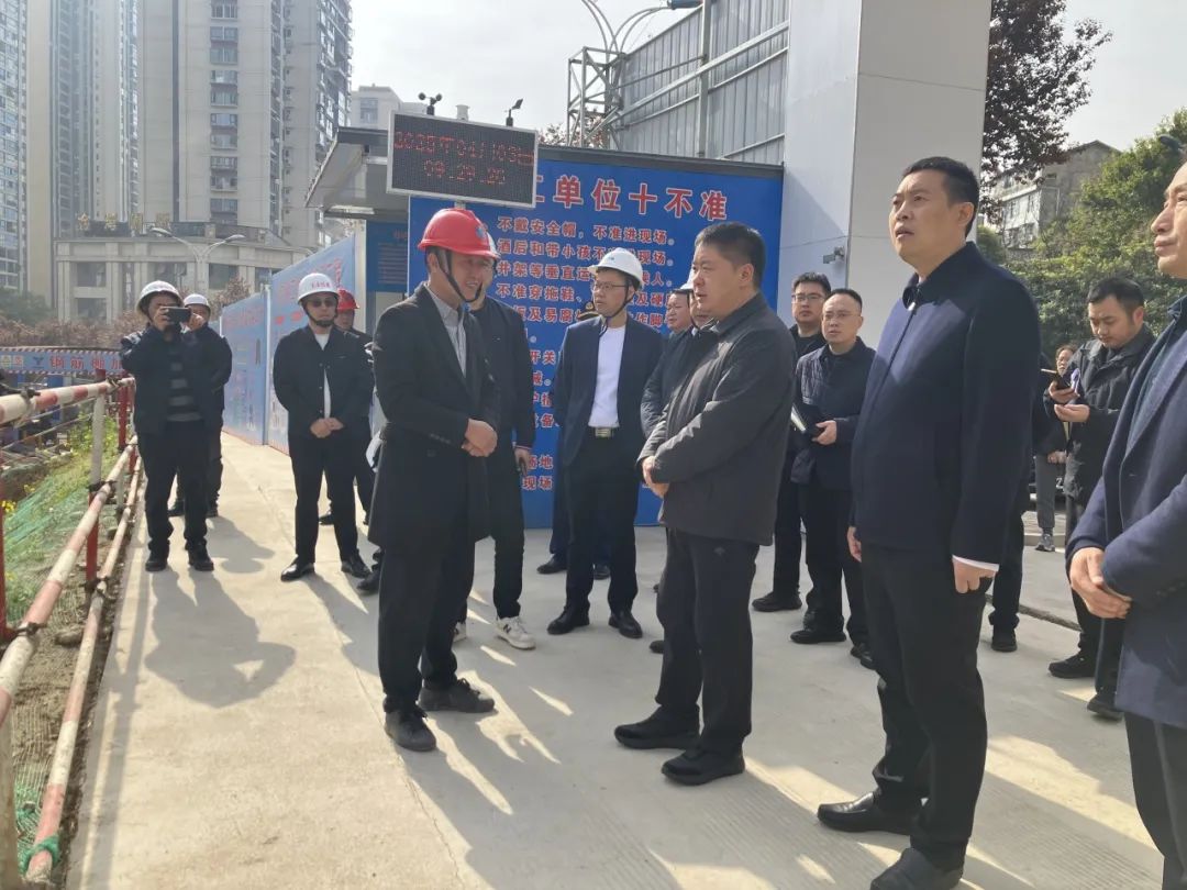 任云带队检查清明节前安全生产、地灾防治、森林防灭火...