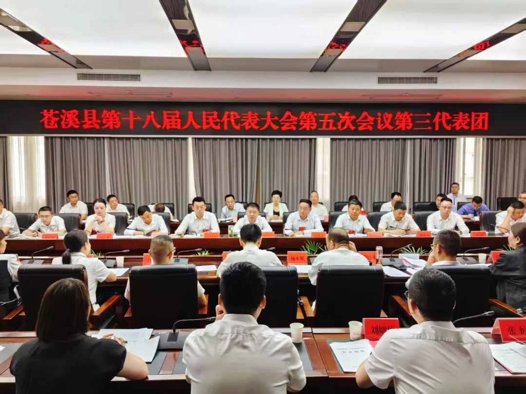 聚焦苍溪两会︱任云在参加第三代表团审议时强调 持续...
