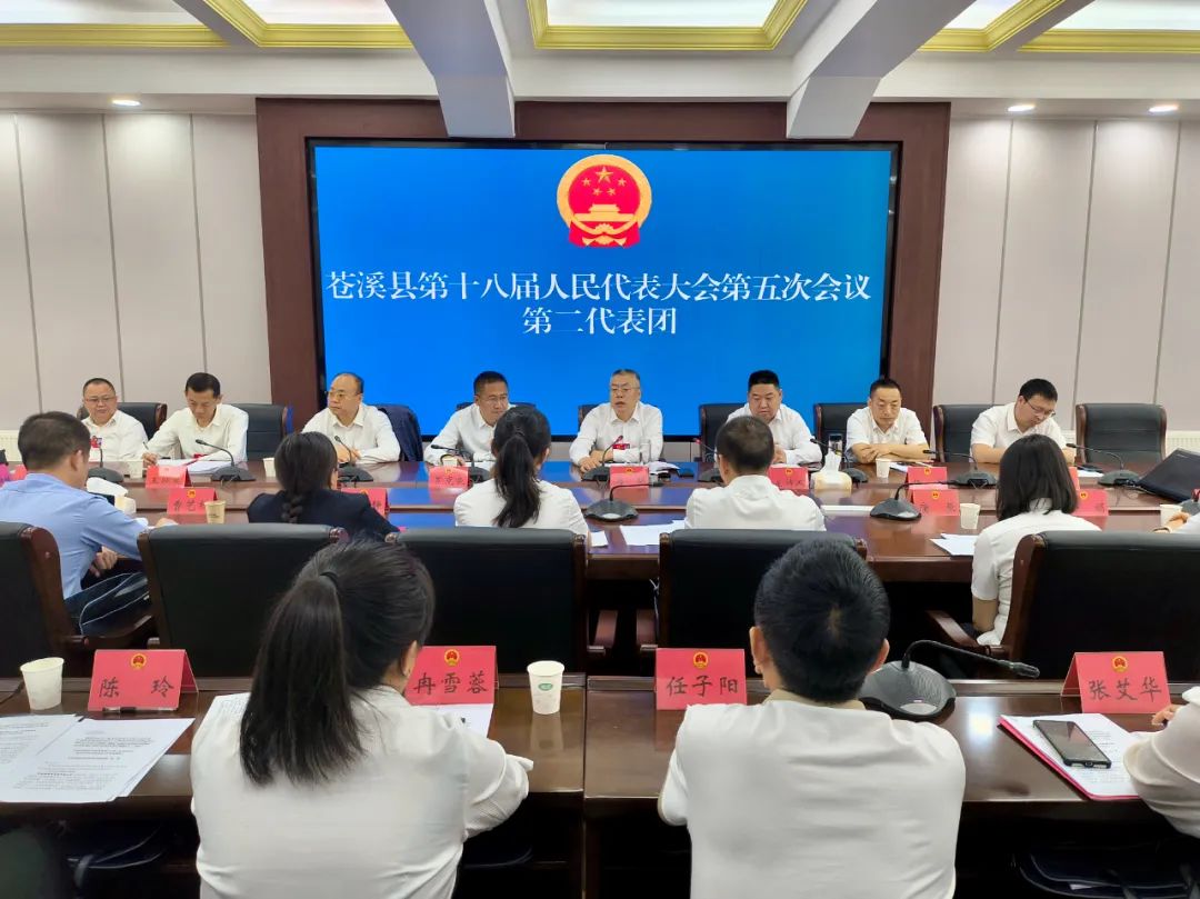聚焦苍溪两会 | 冯明在参加第二代表团审议时强调 把握...