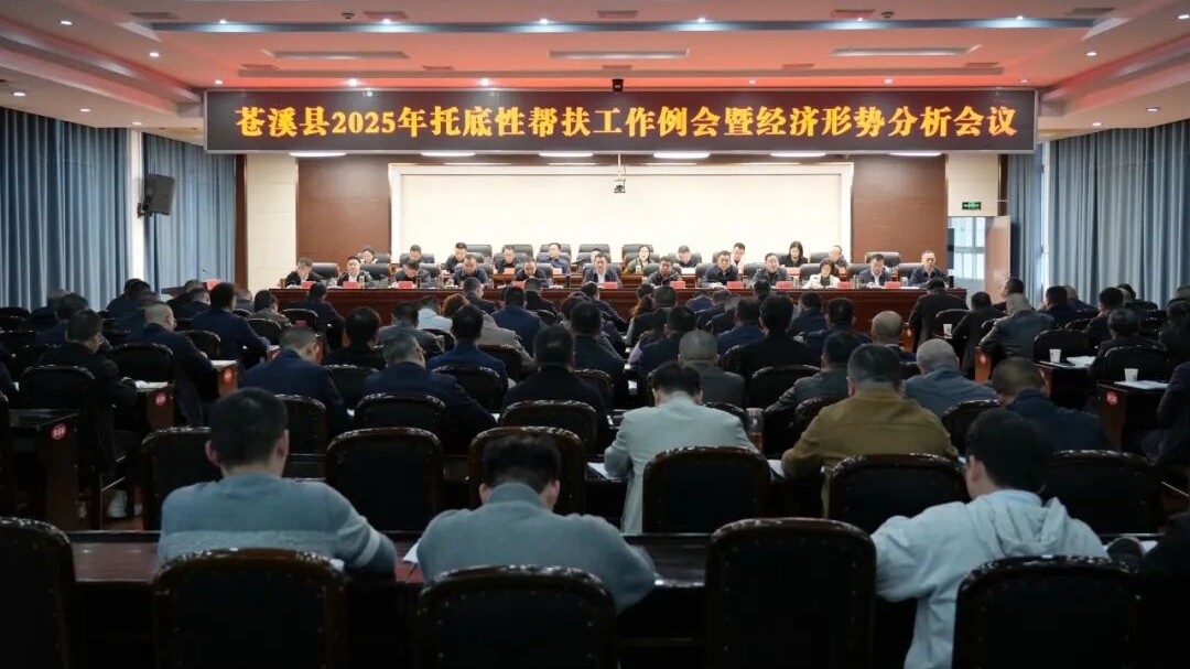 苍溪县2025年托底性帮扶工作例会暨经济形势分析会议召...