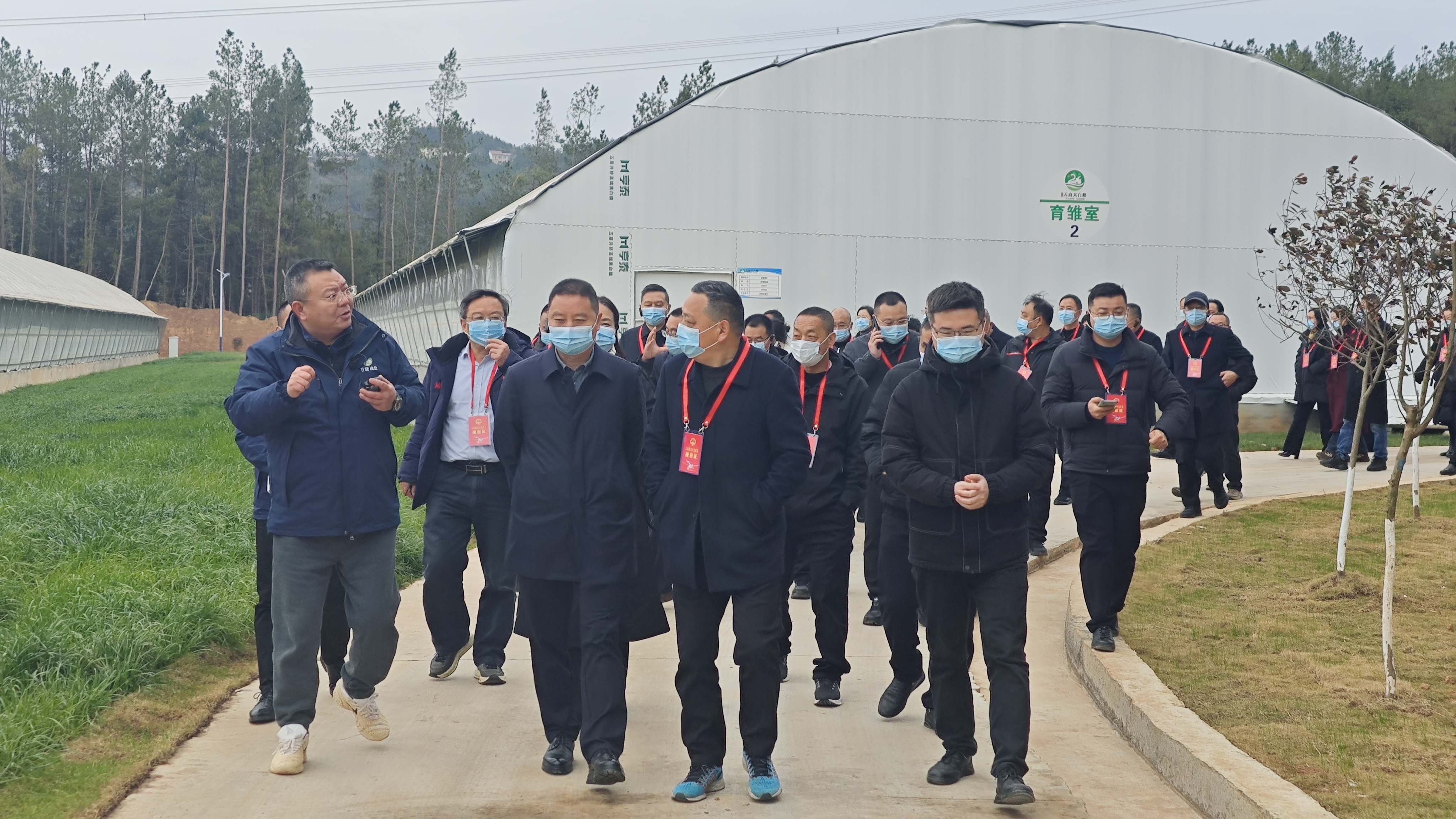 苍溪县开展市县人大代表2025年集中视察活动