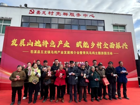 五龙镇乌鸡养殖 致富有路